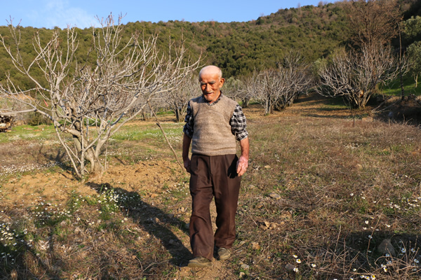 dha-nazilli-26032017-asirlik-cinar-(6).jpg