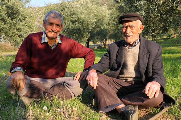 dha-nazilli-26032017-asirlik-cinar-(7).jpg