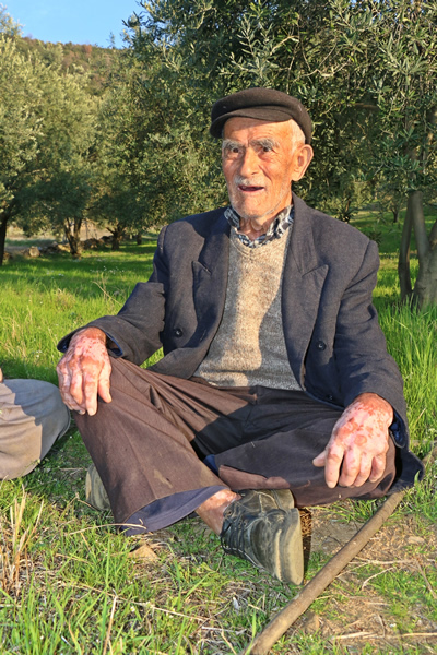 dha-nazilli-26032017-asirlik-cinar-(9).jpg