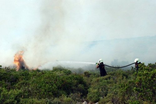 Didim’de 40 Dekar Makilik Alan Kül Oldu