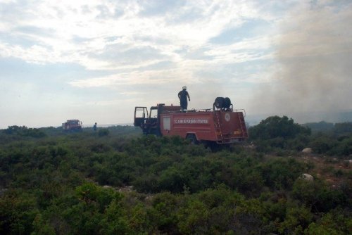 Didim’de 40 Dekar Makilik Alan Kül Oldu