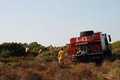 Didim’de 90 Dekarlık Makilik Alan Kül Oldu