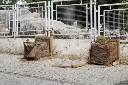 Didim’de Çiçeklik Tartışması