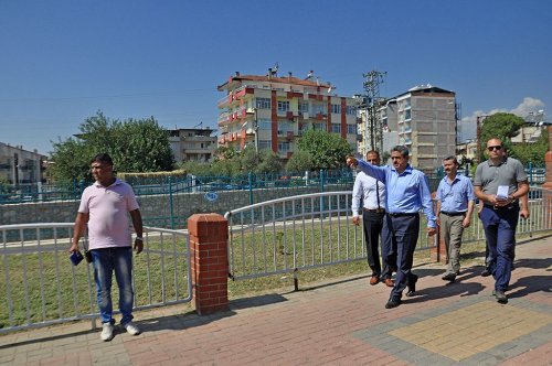 dsc_1678s.jpg
