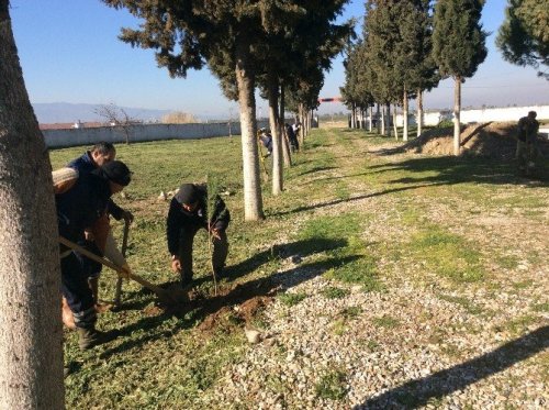 Efeler Belediyesi mezarlıkları düzenliyor