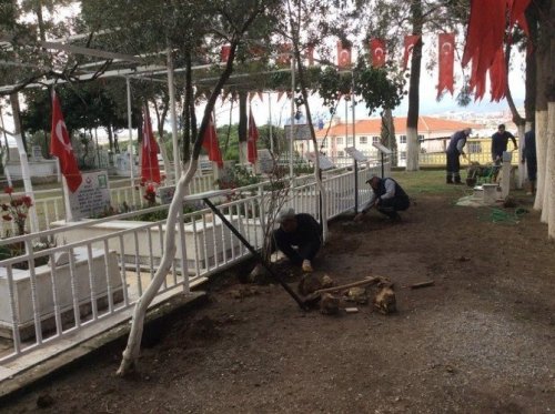 Efeler ilçesindeki şehit mezarlarının bakımları yapıldı