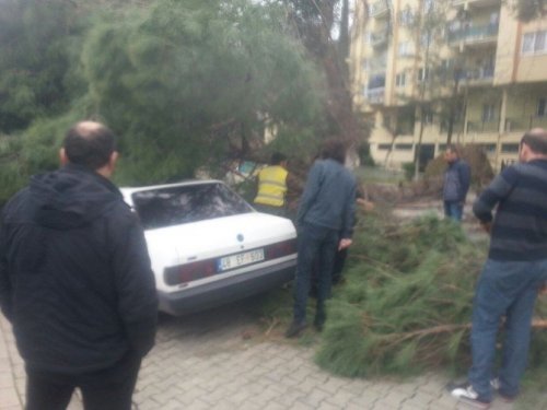 İyi ki altında insan yoktu