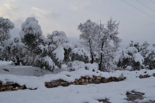 Karacasu'da kar ve buzlanmayla mücadele devam ediyor