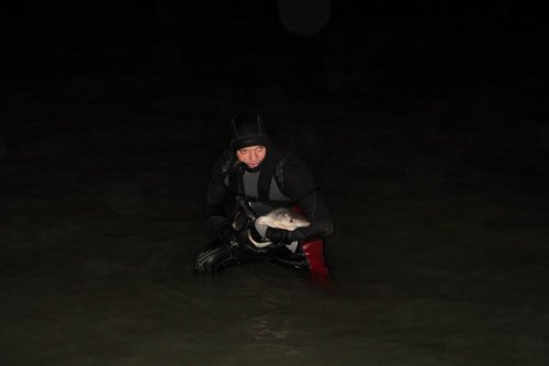 Köpek Balığını Yaşatabilmek İçin Her Şeyi Yaptı