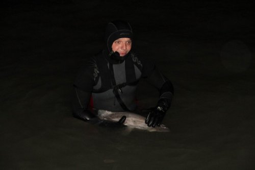 Köpek Balığını Yaşatabilmek İçin Her Şeyi Yaptı