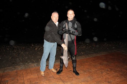 Köpek Balığını Yaşatabilmek İçin Her Şeyi Yaptı