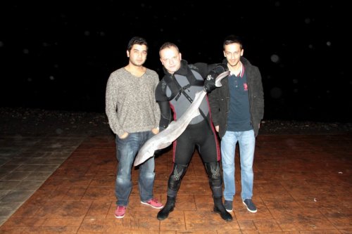 Köpek Balığını Yaşatabilmek İçin Her Şeyi Yaptı