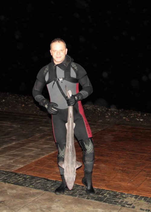 Köpek Balığını Yaşatabilmek İçin Her Şeyi Yaptı