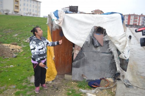 Kümes Gibi Evde Yaşam Mücadelesi