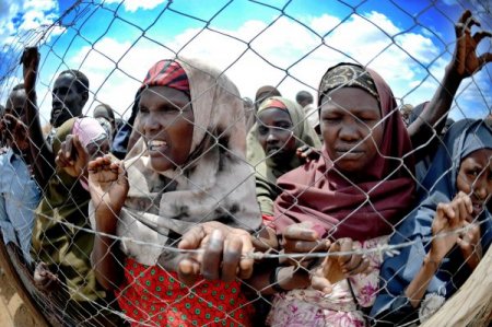 Kuraklıktan Kaçan Somalililer Daadab Mülteci Kampına Akın Ediyor