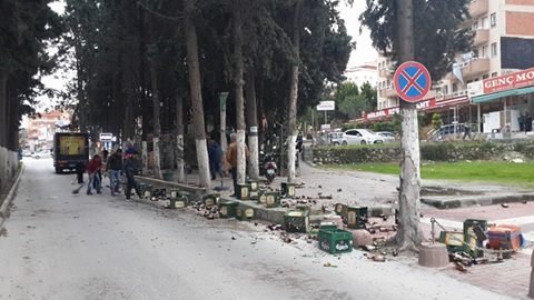 Kuşadası’nda fırtına yüzünden ağaçlar devrildi