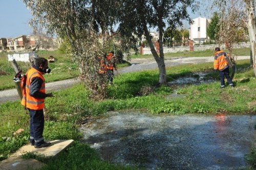 Kuşadası’nda sivrinek ve haşere ile mücadele çalışmaları
