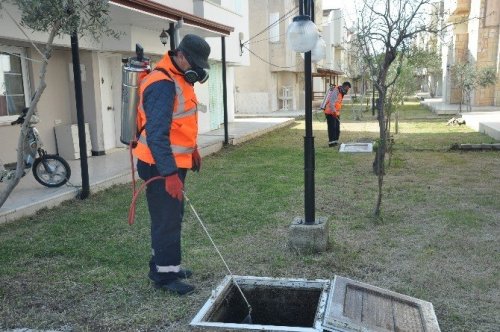 Kuşadası’nda sivrinek ve haşere ile mücadele çalışmaları