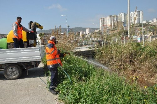 Kuşadası’nda sivrinek ve haşere ile mücadele çalışmaları