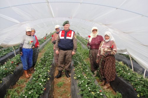 Mehmetçik, Şehit Annesini Unutmadı