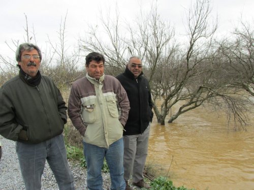 Menderes taştı, Aydın Ovası göle döndü