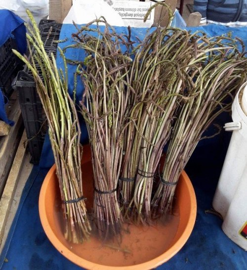 Mevsimi geçmeden deneyin; kuşkonmaz