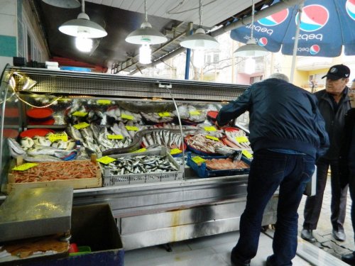 Mudanyalı Balıkçılar 40 Yıl Sonra Yılan Balığı Yakaladı