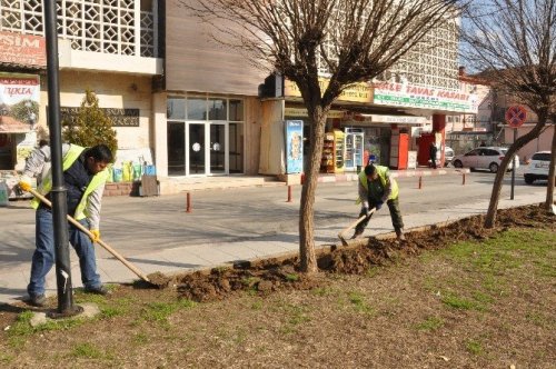 Nazilli Park, yeşil alan ve refüjlerde bahar hazırlığı