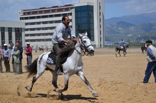 Nazilli’de 4. Rahvan At Yarışları Yapıldı