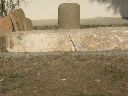 Nazilli'de gölet inşaatı sırasında lahit bulundu