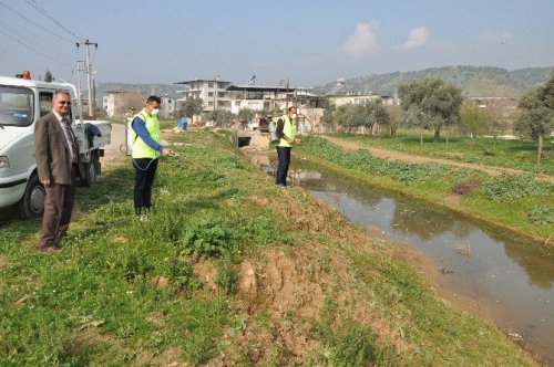 Nazilli’de sivrisinek ve karasinekle mücadele başladı