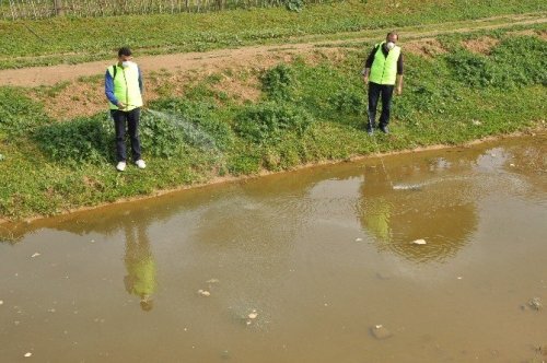 Nazilli’de sivrisinek ve karasinekle mücadele başladı