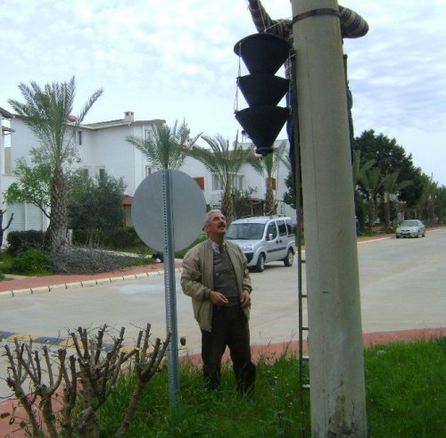 Palmiye ölümlerin önüne geçilmiyor