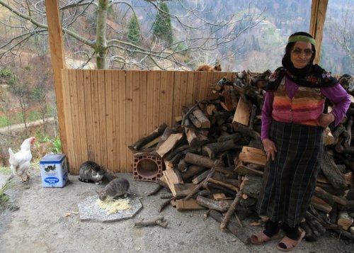 Rizeli Eltilerin Kedi Sevgisi