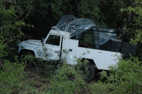 Safari Turunda Kaza Yapan Cipin Kaçak Olduğu İddiası