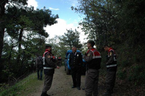 Safari Turunda Kaza Yapan Cipin Kaçak Olduğu İddiası