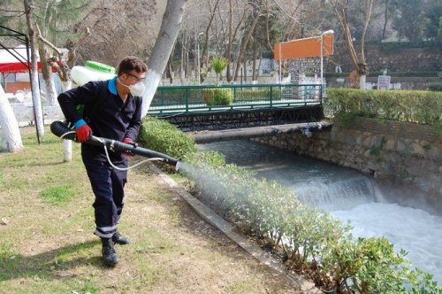 Sağlık işleri ilaçlama kadrosunu genişletiyor