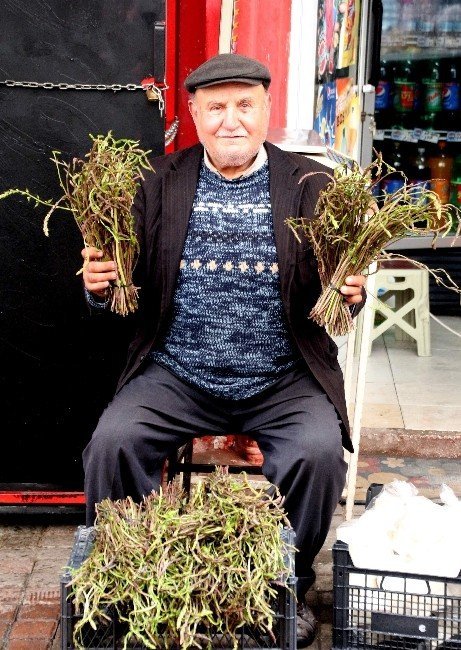Sarmaşık ve kedirgen pazarda yerini aldı