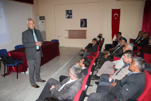 Şaşırtan Arı Ölümleri Masaya Yatırıldı
