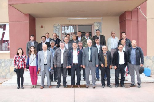 Şaşırtan Arı Ölümleri Masaya Yatırıldı
