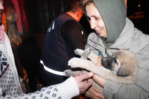 Su Kuyusuna Düşen Yavru Köpekler Kurtarıldı