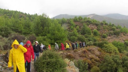 Tepeli Pelikanlar İçin Yürüdüler