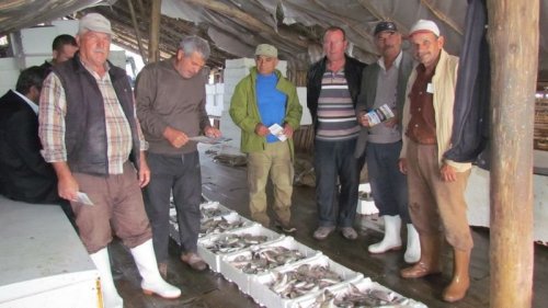 Tepeli Pelikanlar İçin Yürüdüler