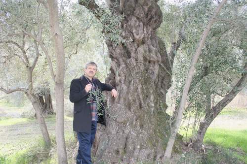 tin-suresi’nin-sirri-ne-(4).jpg