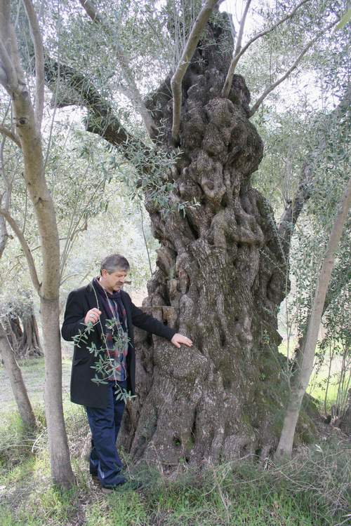 tin-suresi’nin-sirri-ne-(5).jpg