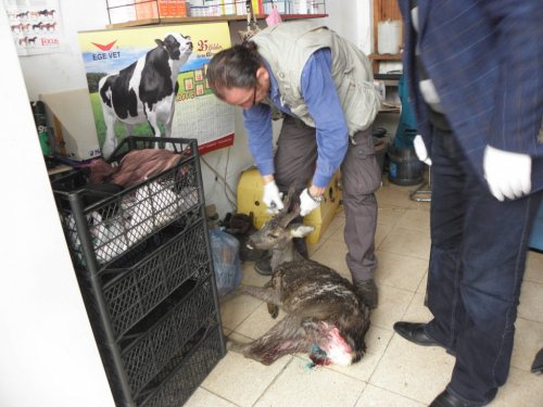 Trabzon’da Yasak Avlananlara Para Cezası