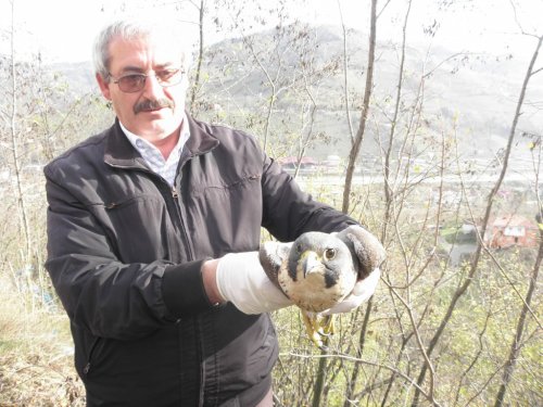 Trabzon’da Yasak Avlananlara Para Cezası