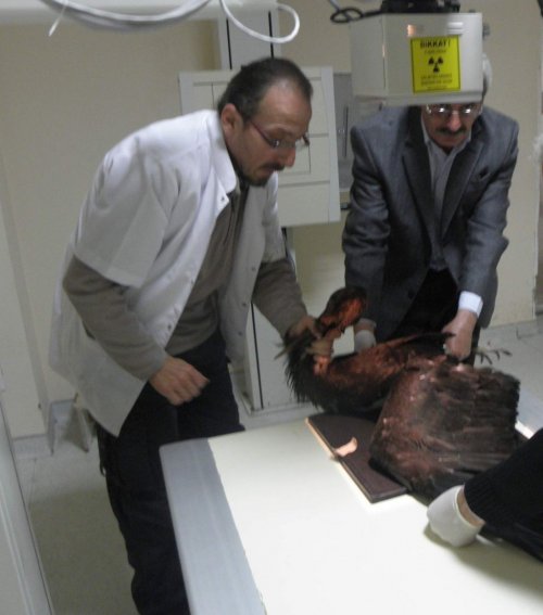 Trabzon’da Yasak Avlananlara Para Cezası