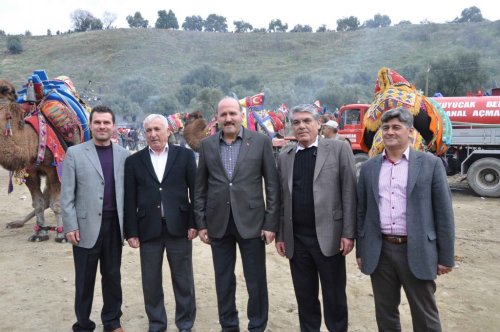 Ücretsiz Deve Güreşi Büyük İlgi Gördü