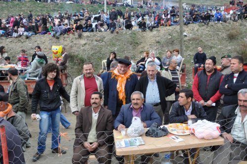 Ücretsiz Deve Güreşi Büyük İlgi Gördü
